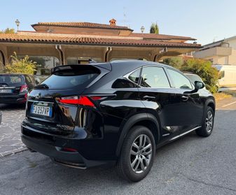 Lexus NX 300h Hybrid 4WD Executive
