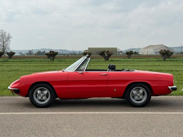 Alfa Romeo Spider 1.3 Junior ASI '75