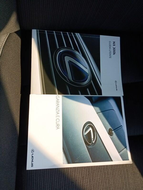 Lexus NX NX Hybrid Business