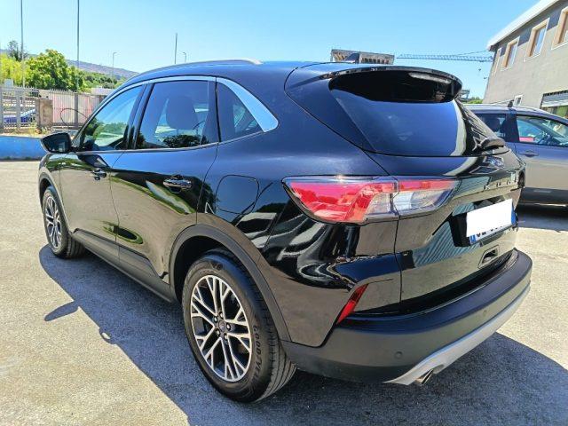 FORD Kuga 2.0 EcoBlue Hybrid 150 CV 2WD Titanium Business