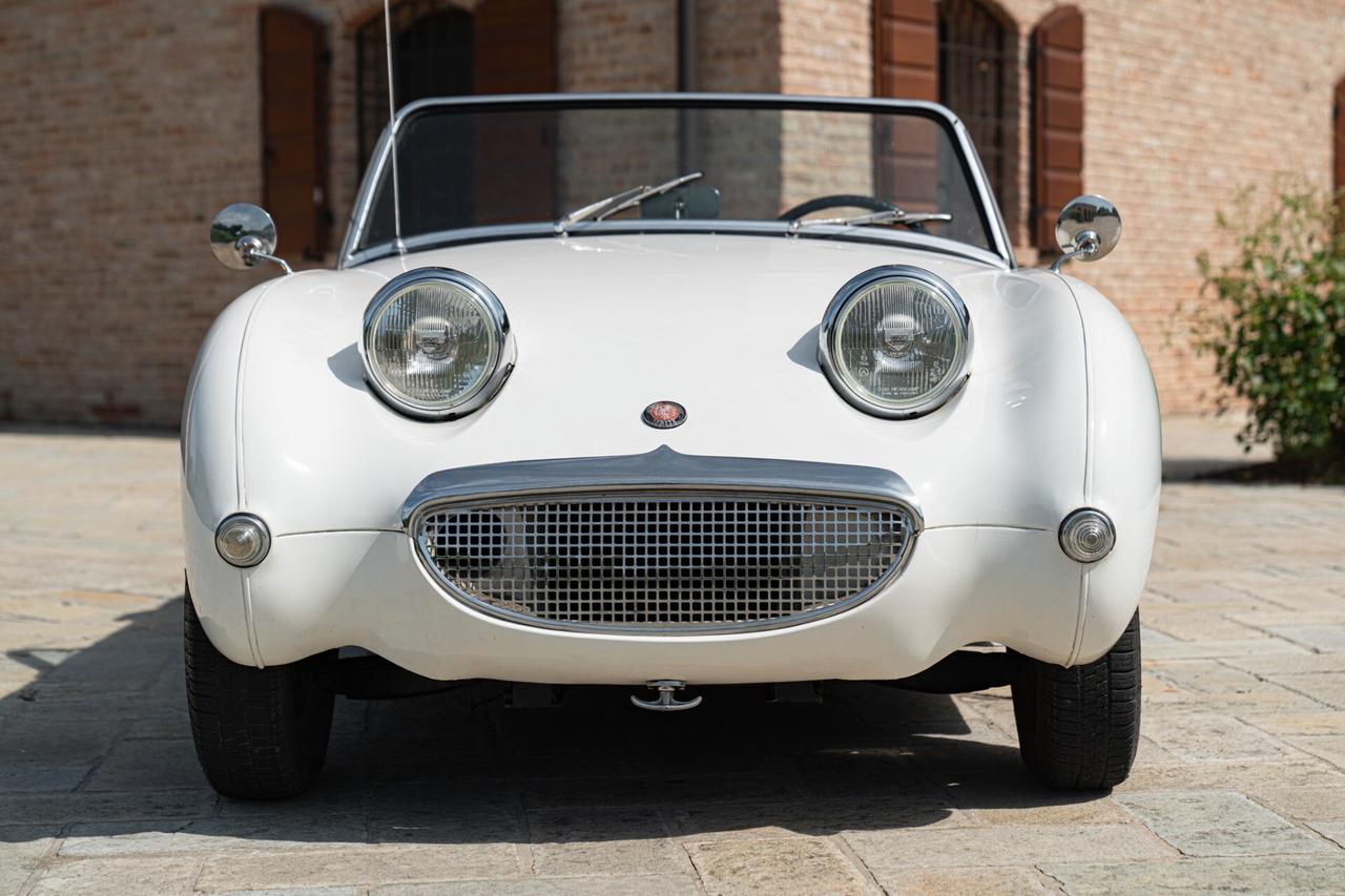 Austin Healey SPRITE - AUS00015