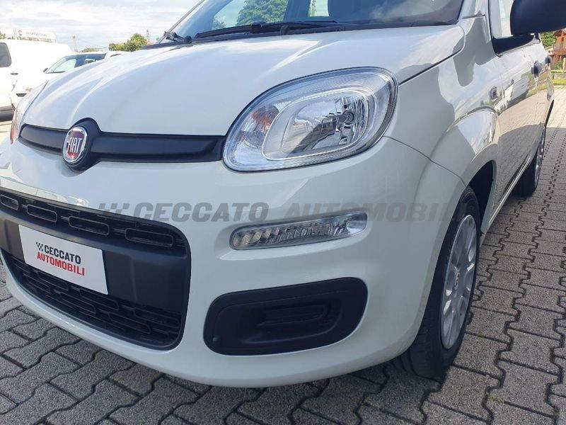 FIAT Panda Panda 1.0 firefly hybrid s&s 70cv