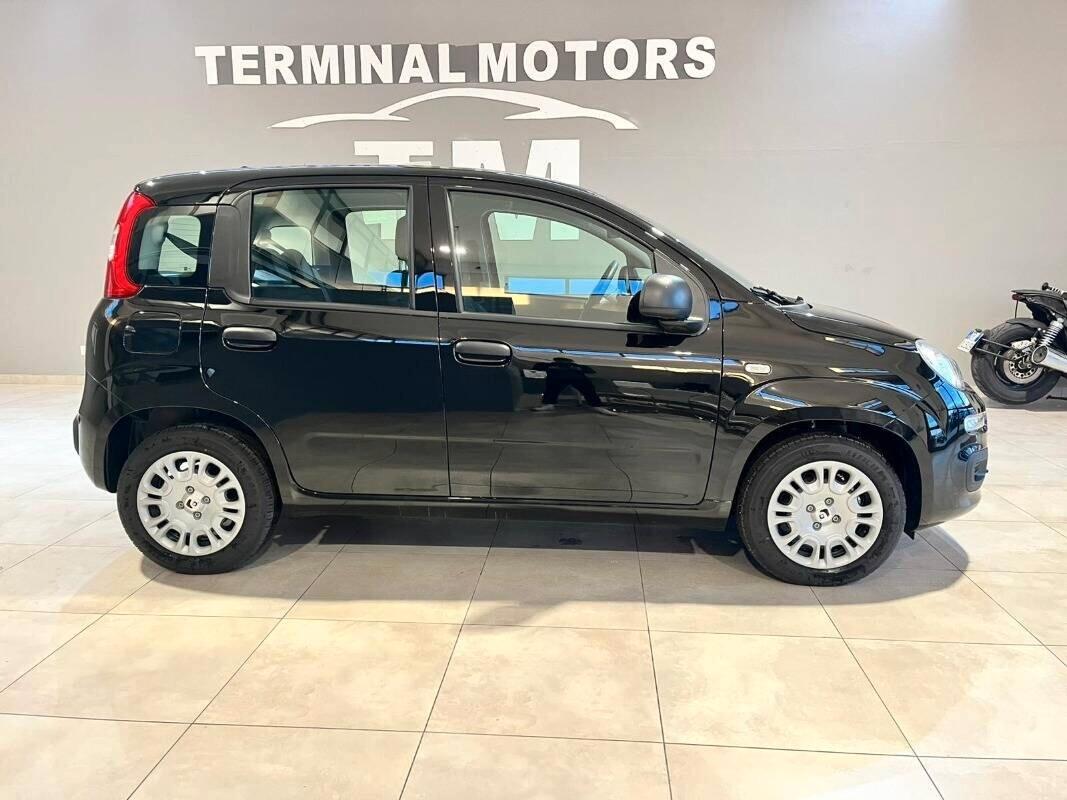 Fiat Panda 1.0 FireFly S&S Hybrid Pandina