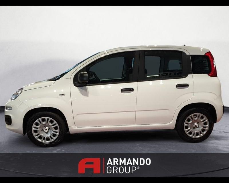 FIAT Panda 3ª serie 1.0 FireFly S&S Hybrid Icon