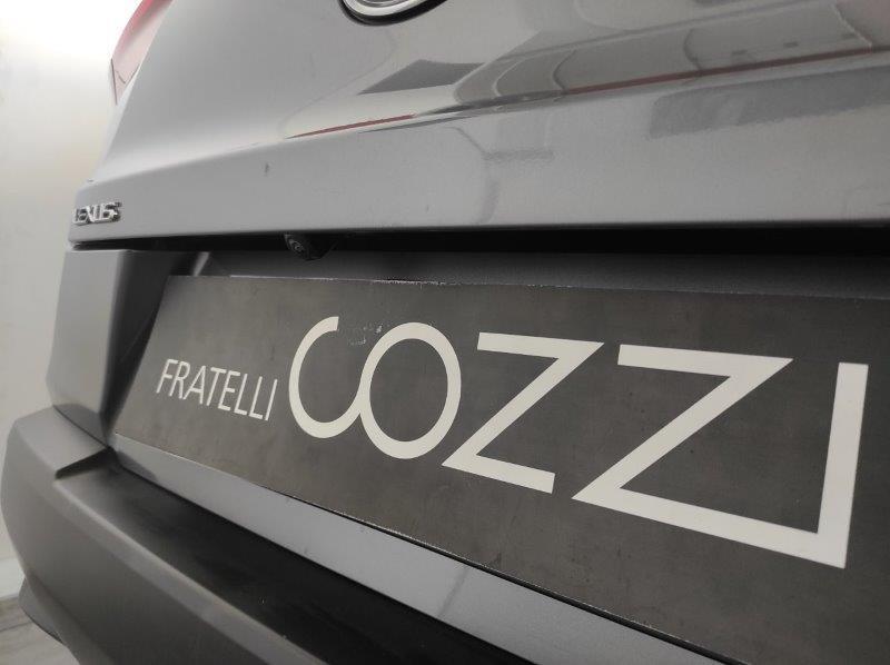 LEXUS UX - UX Hybrid Business