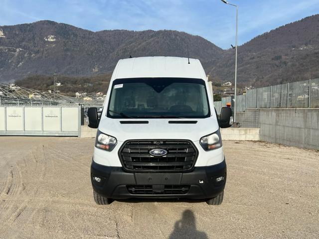 FORD Transit 350 2.0TDCi EcoBlue 170CV PL-SL-TA Jumbo Trend