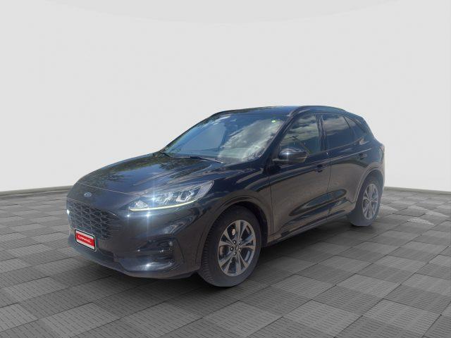 FORD Kuga Kuga 2.0 EcoBlue Hybrid 150 CV 2WD ST-Line