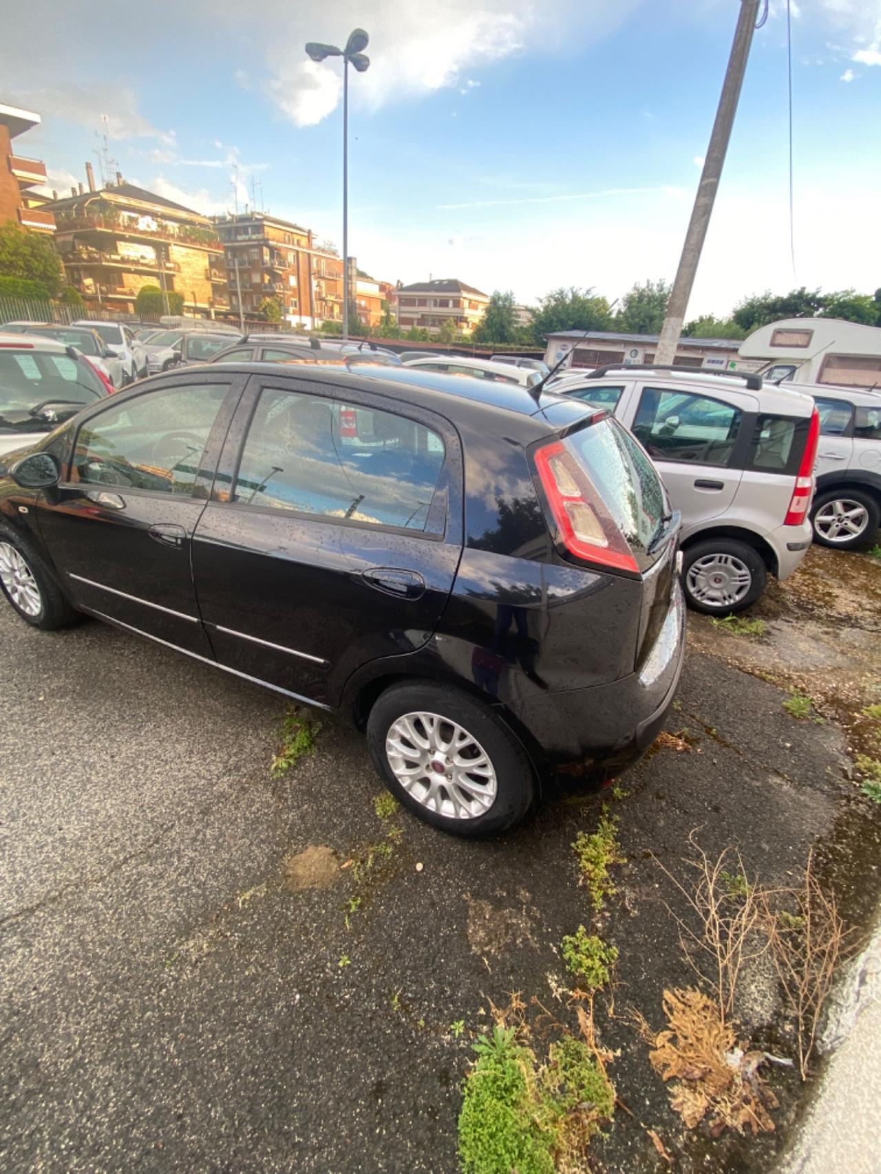 Fiat Punto Evo Punto Evo 1.2 5 porte Dynamic