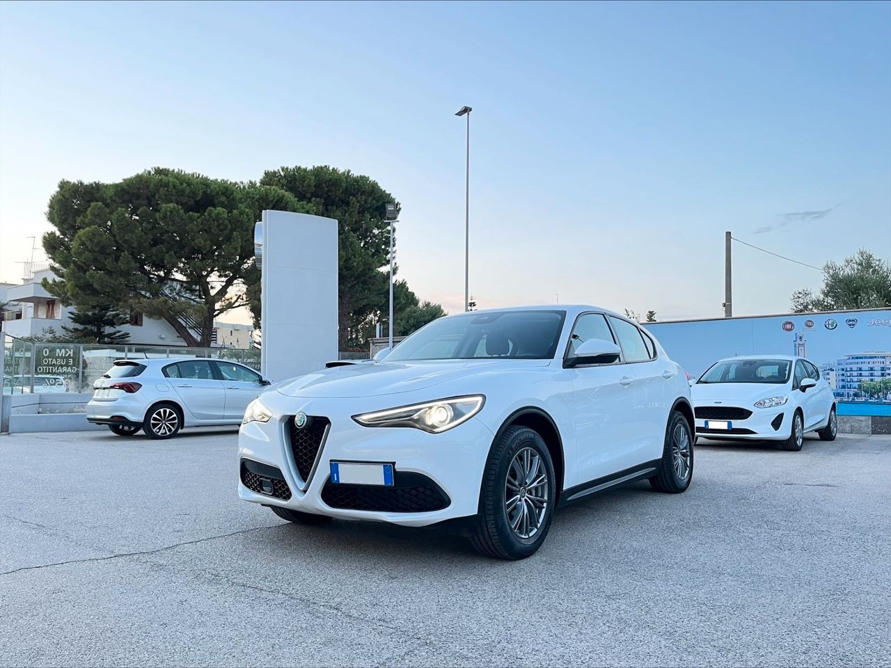 ALFA ROMEO STELVIO BUSINESS 2.2 MJT 160CV RWD E6d.temp