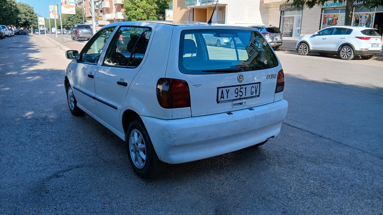 Volkswagen Polo 1.0 cat 5 porte
