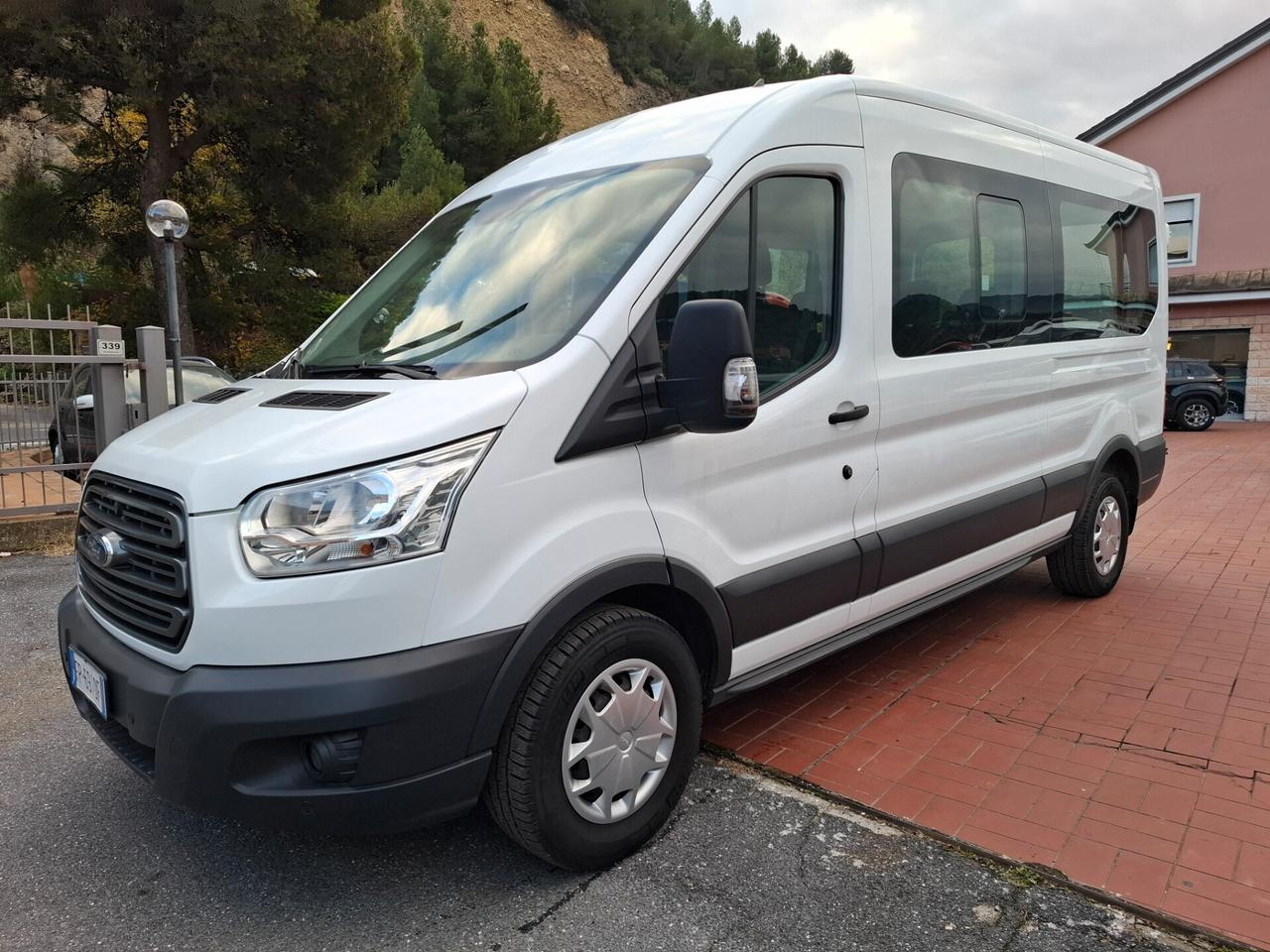Ford Transit 350 2.0TDCi EcoBlue 130CV PL-TM Combi Trend
