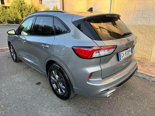 Ford Kuga Kuga 1.5 ecoblue ST-Line 2wd 120cv auto