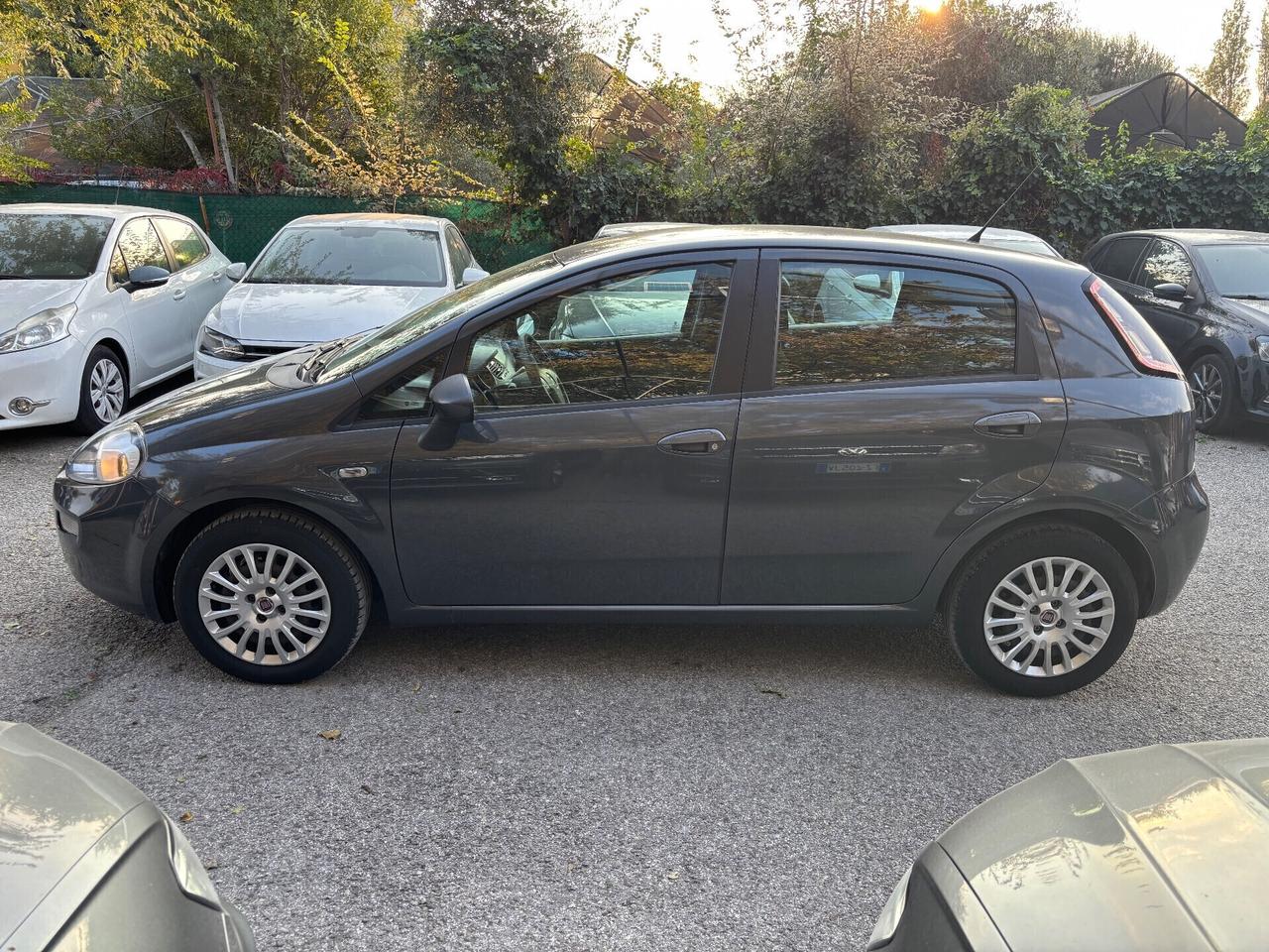 Fiat Punto 1.2 8V 5 porte Lounge OK Neopatentati