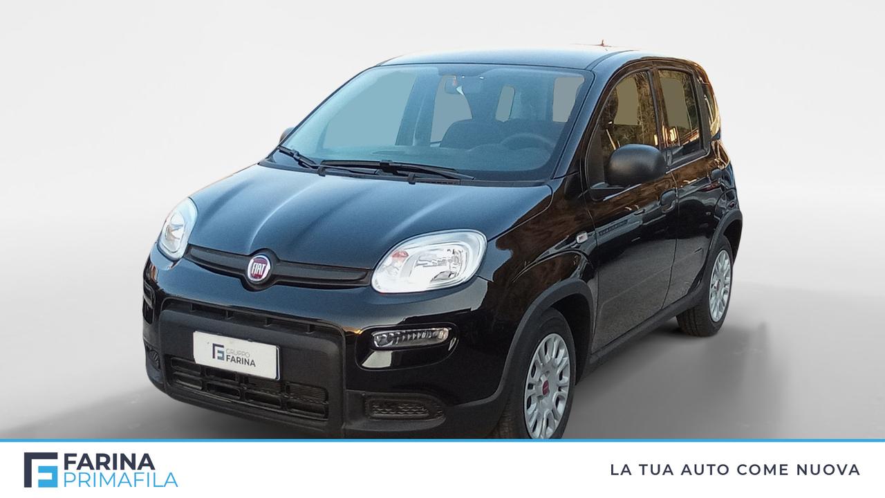 FIAT Panda My24 1.0 70cv Hybrid Panda