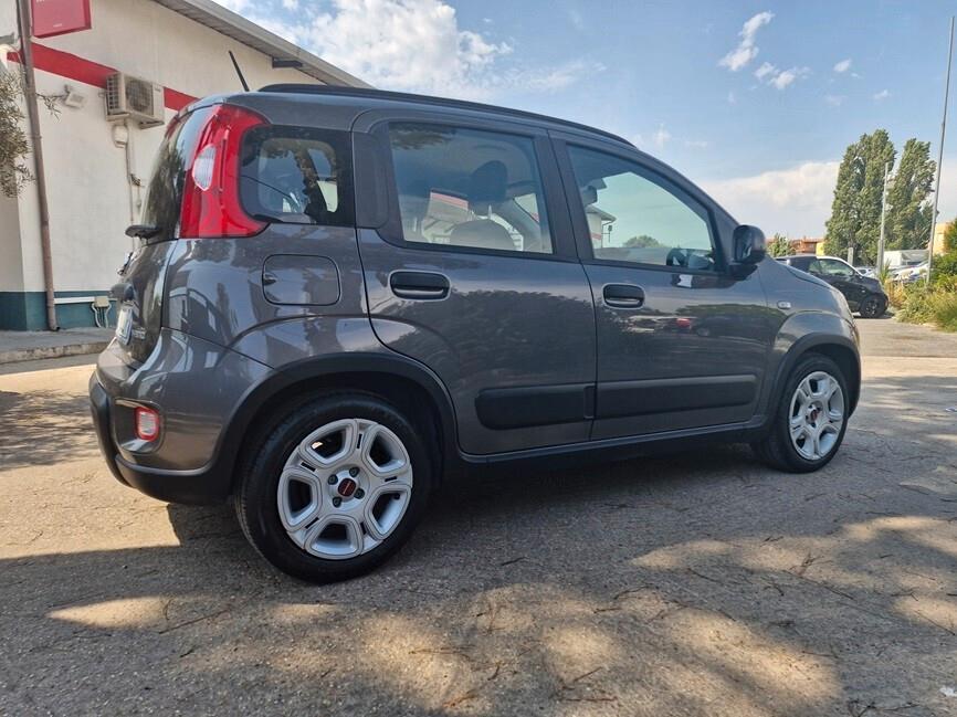 Fiat Panda 1.0 FireFly S&S Hybrid Red