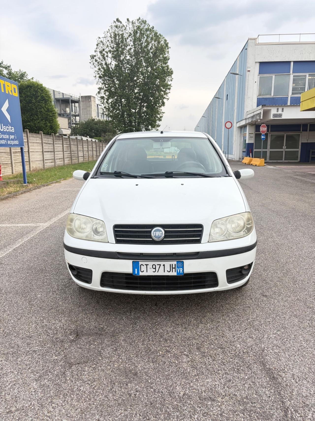 Fiat Punto 1.2i cat 5 porte Feel Neopatentati