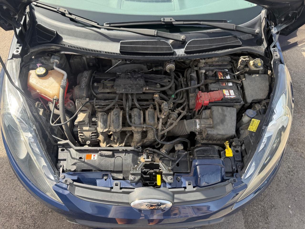 Ford Fiesta Fiesta+ 1.4 5 porte Bz.- GPL