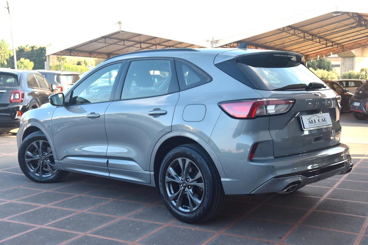 Ford Kuga 2.0 EcoBlue Hybrid 150 CV 2WD ST-Line