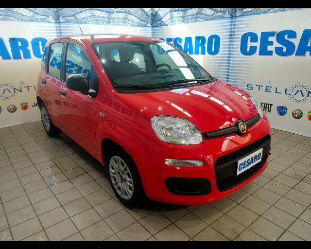 FIAT New Panda 1.0 firefly hybrid 70cv 5 posti