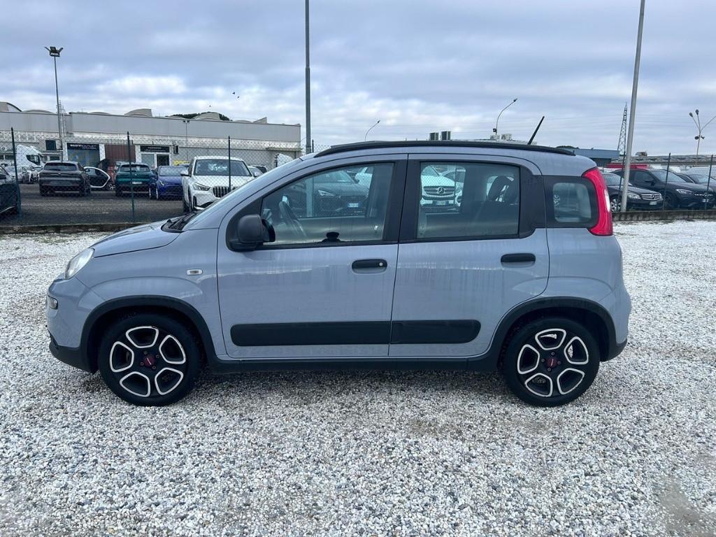 FIAT Panda III 2021 - Panda 1.0 firefly hybrid City Life s&s 70cv 5p.ti