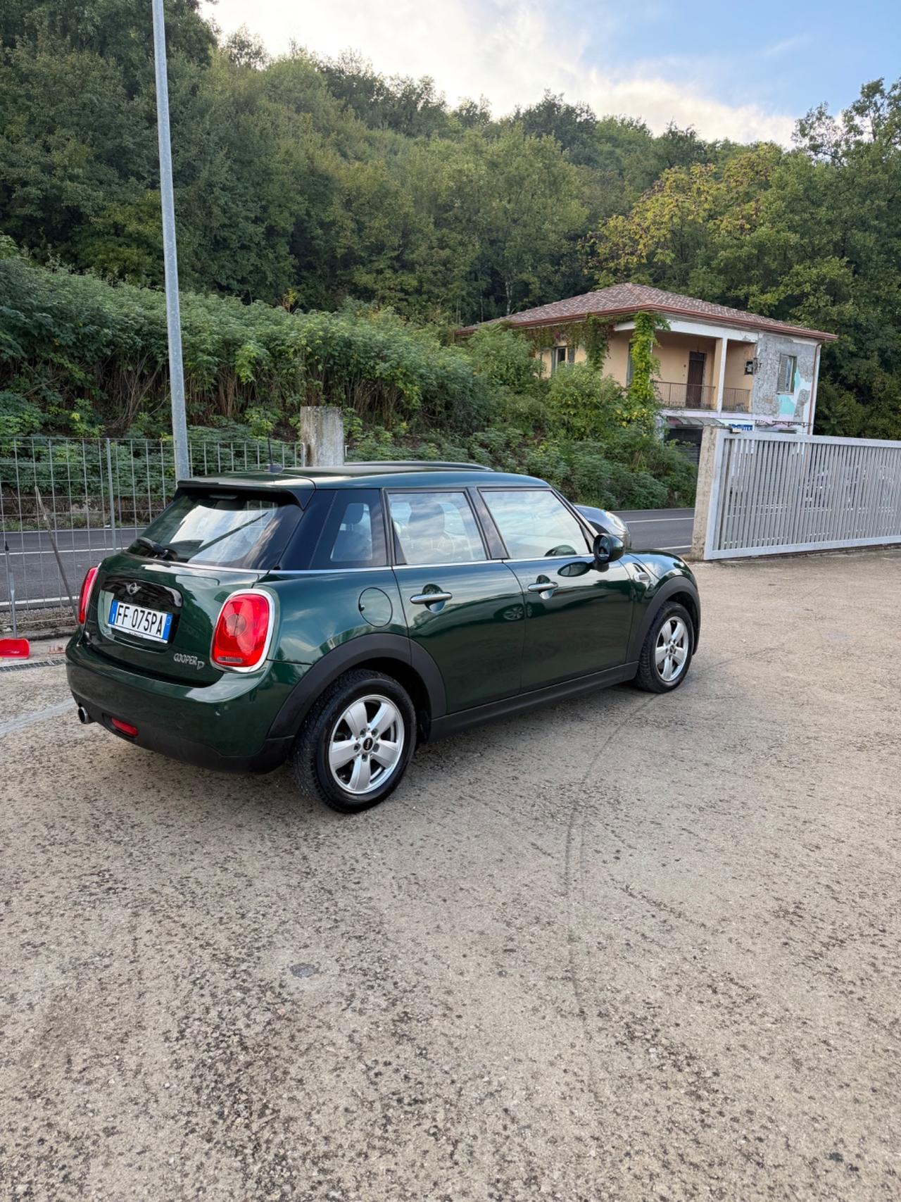 Mini 1.5 One D Hype