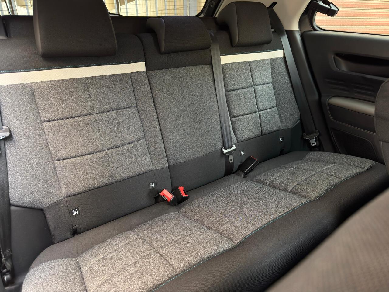 Citroen C4 Cactus 1.5 BlueHDi 100 cv S&S Shine Limited Edition