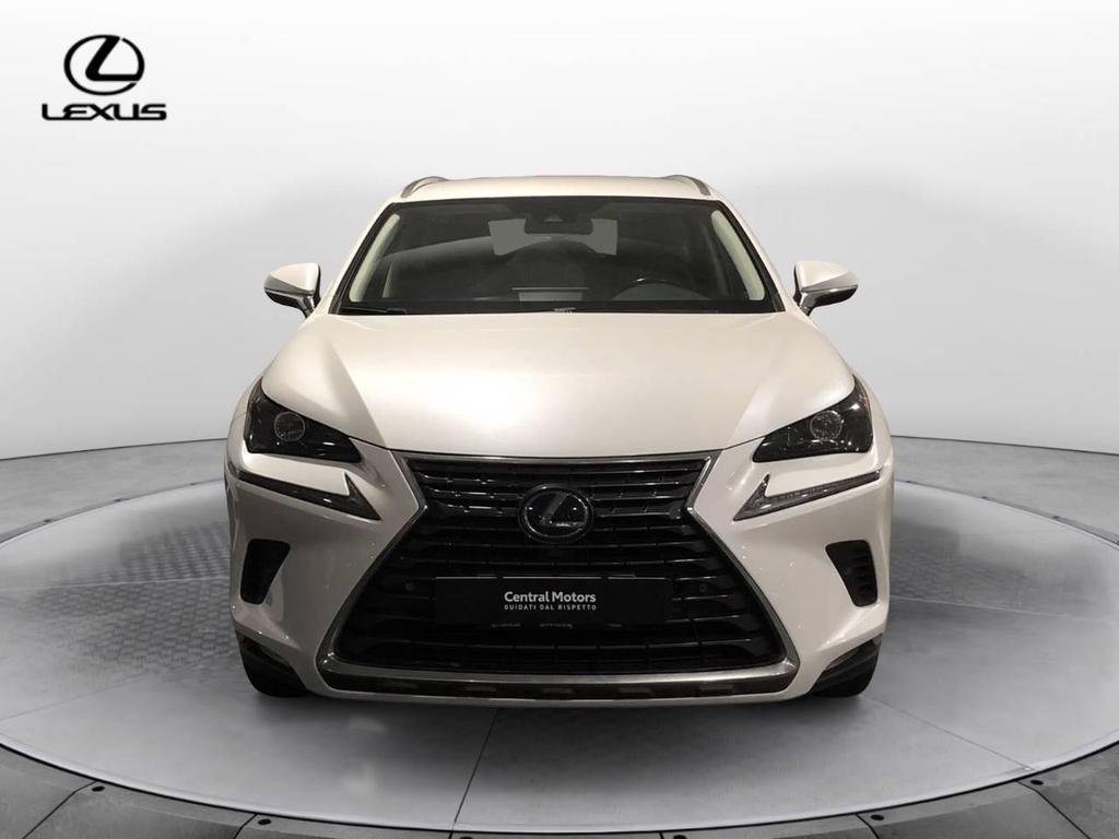 Lexus NX 300 300 2.5 Hybrid Premium 4WD CVT