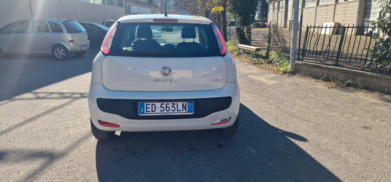 Fiat Punto Evo Punto Evo 1.2 3 porte Active