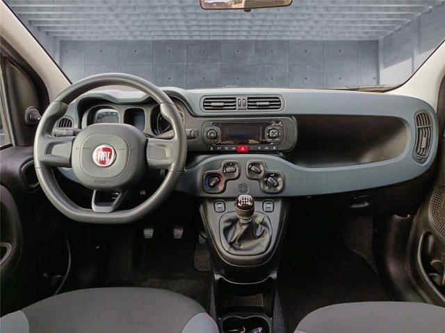 FIAT Panda 3ª serie 1.0 FireFly S&S Hybrid
