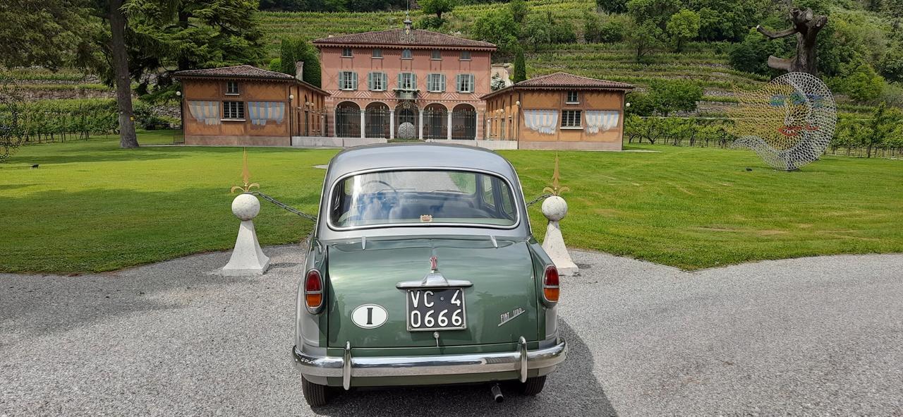 Fiat Altro 1100 103 Elite Vignale '56