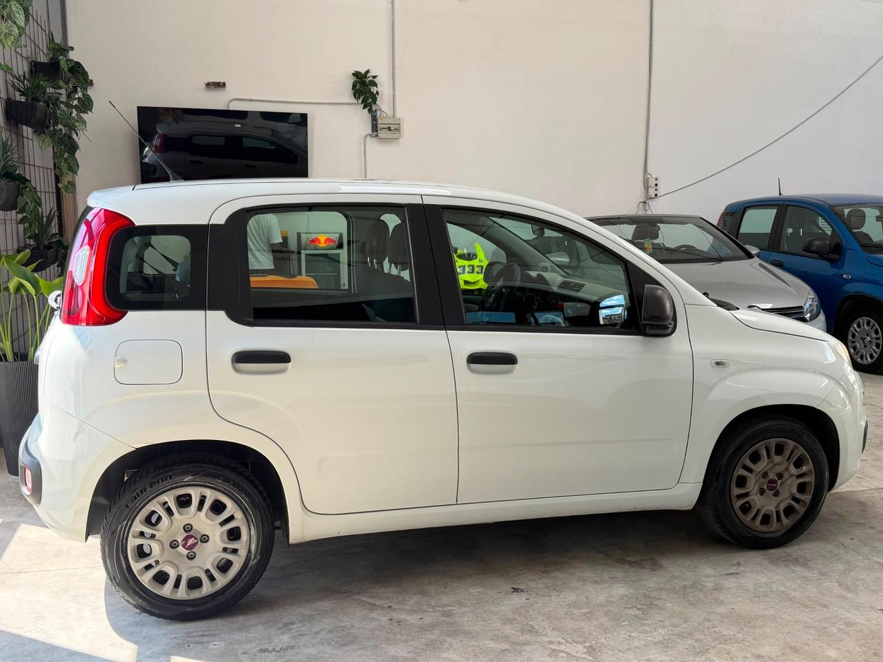 Fiat Panda 1.2 Lounge