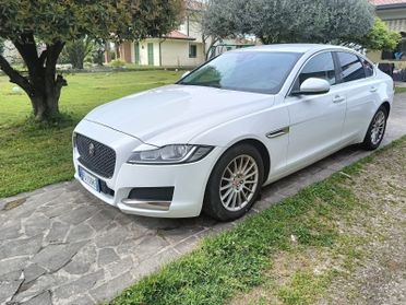 Jaguar XF 2.0 D E-Performance aut. Pure
