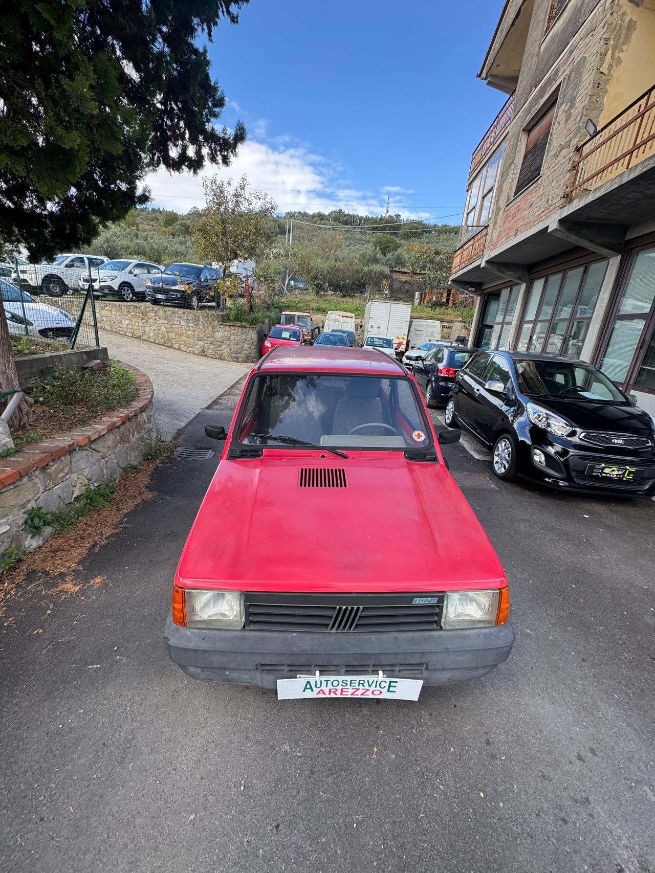 Fiat Panda 900 i.e. cat Young