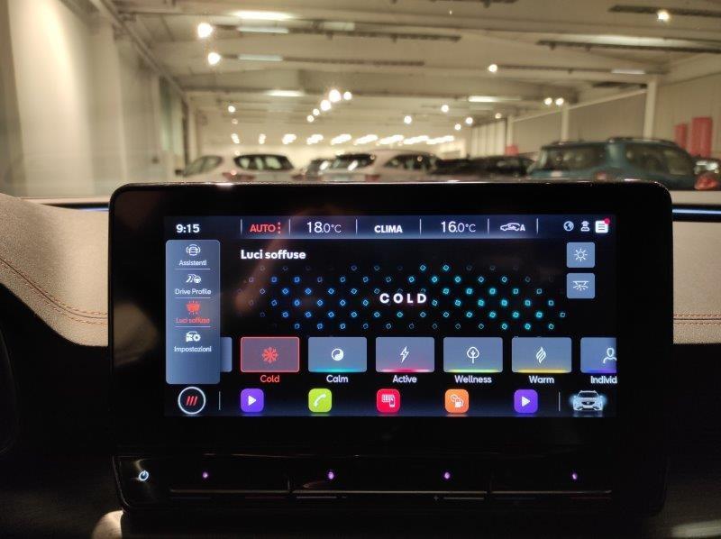 CUPRA Formentor - Formentor 2.0 TDI 4Drive DSG