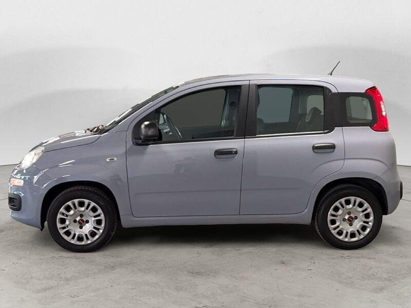 FIAT Panda 1.2 69cv E6 Easy