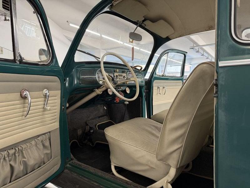 Volkswagen Maggiolino