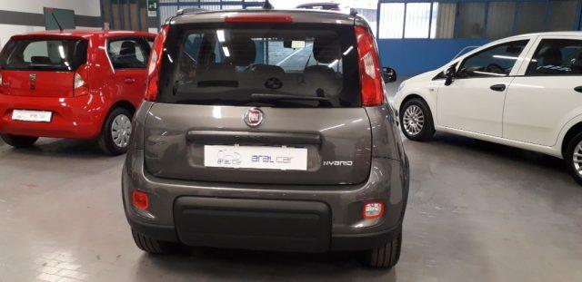 FIAT Panda 1.0 FireFly S&S Hybrid 70 CV CITY LIFE