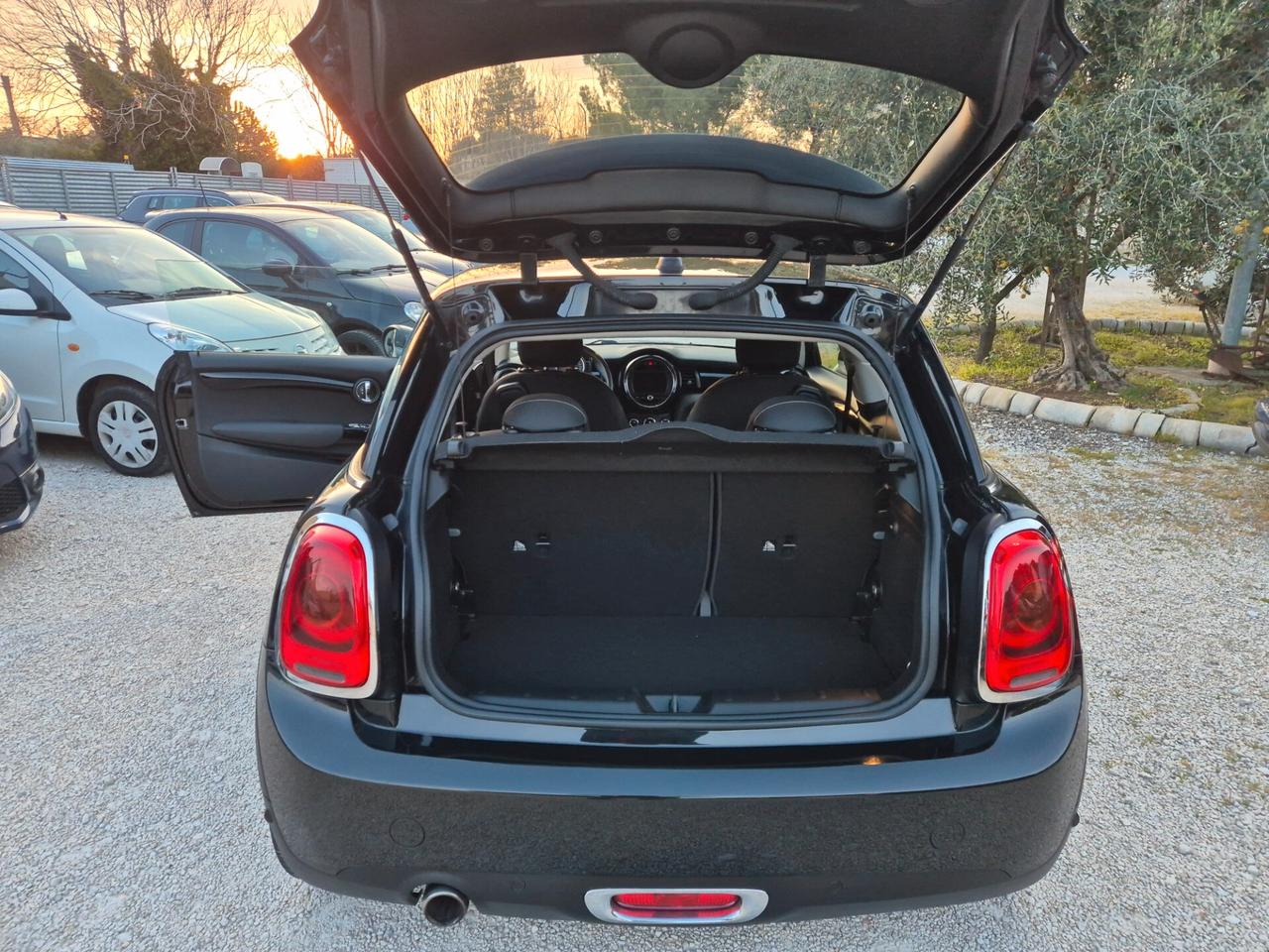 Mini 1.5 One D