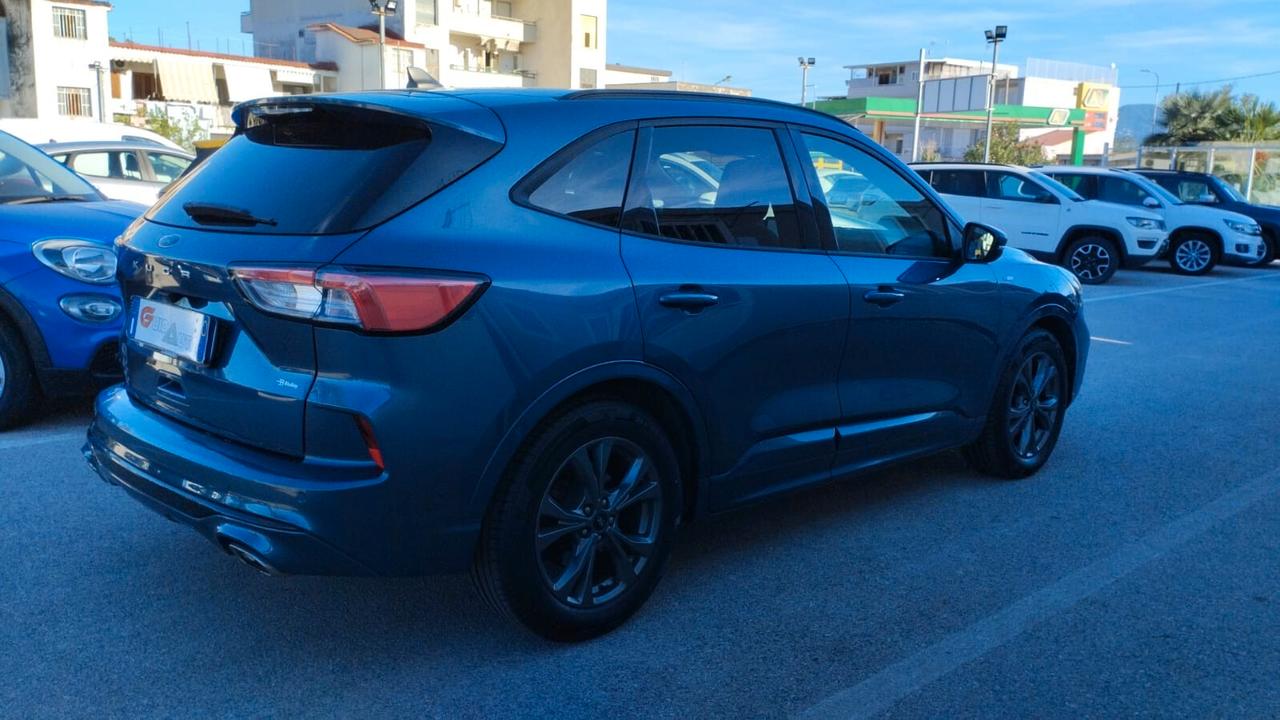 Ford Kuga 1.5 EcoBlue 120 CV 2WD ST-Line X