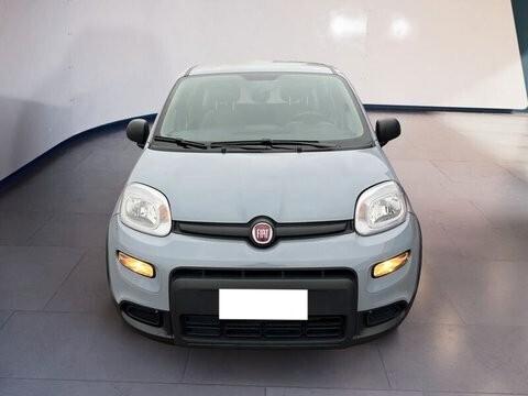 Fiat Panda Hybrid FireFly1.0 S&S 70cv