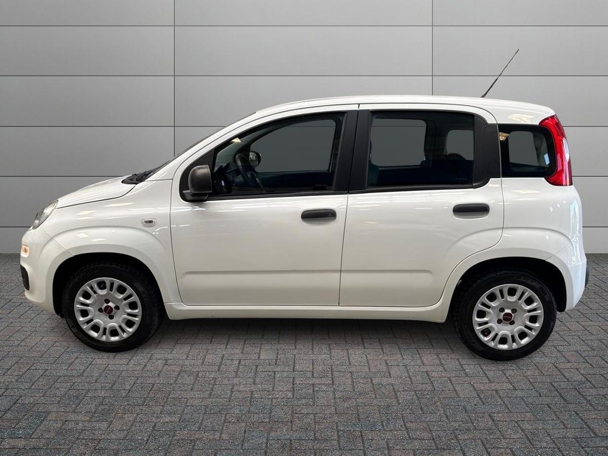 FIAT Panda III 2016 - Panda 1.2 Pop s&s 69cv my19