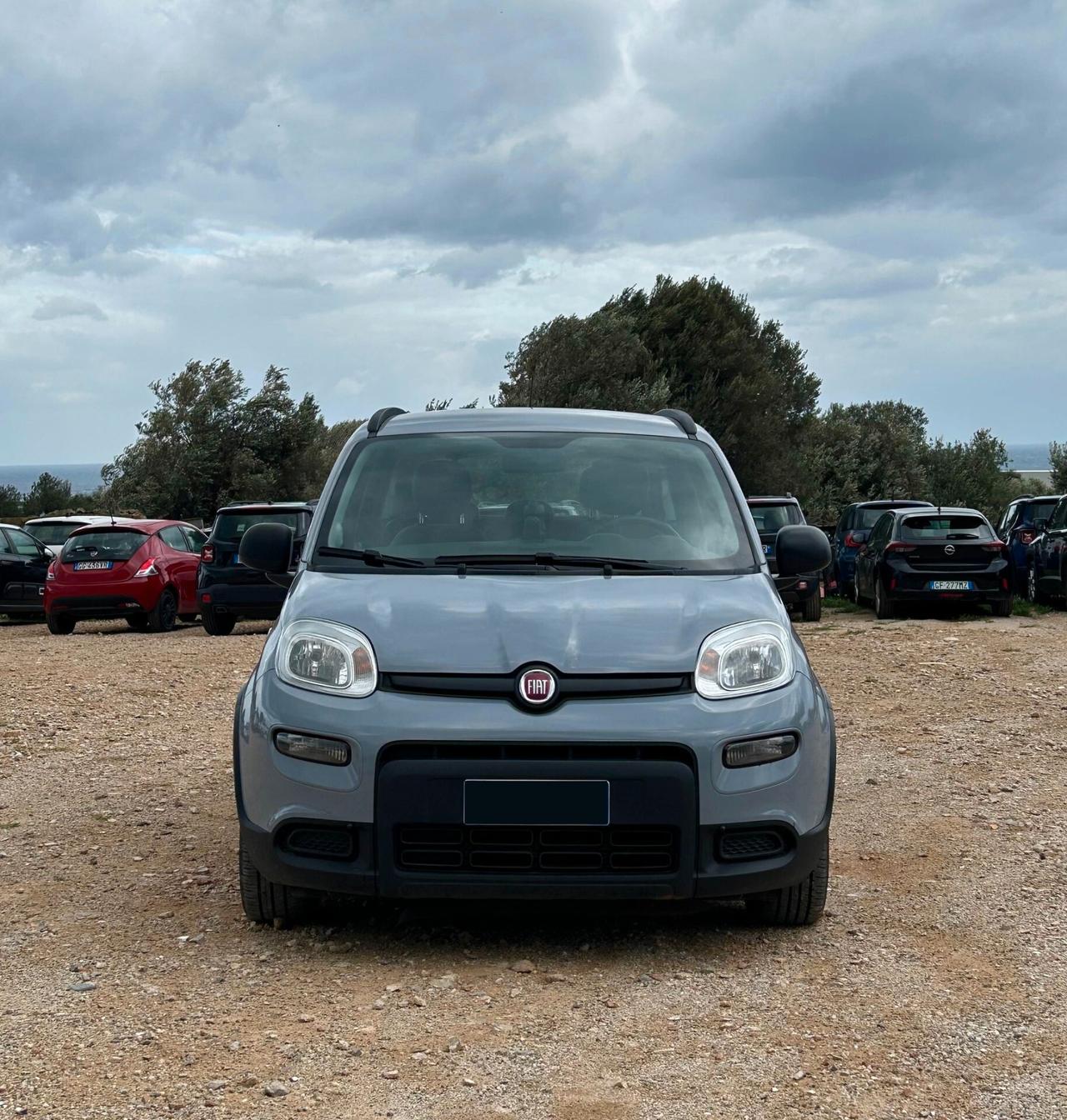 Fiat Panda 1.0 FireFly S&S Hybrid Sport