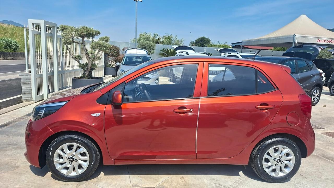 Kia Picanto 1.0 12V 5 porte 2023