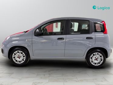 FIAT Panda III 2021 - Panda 1.0 firefly hybrid s&s 70cv