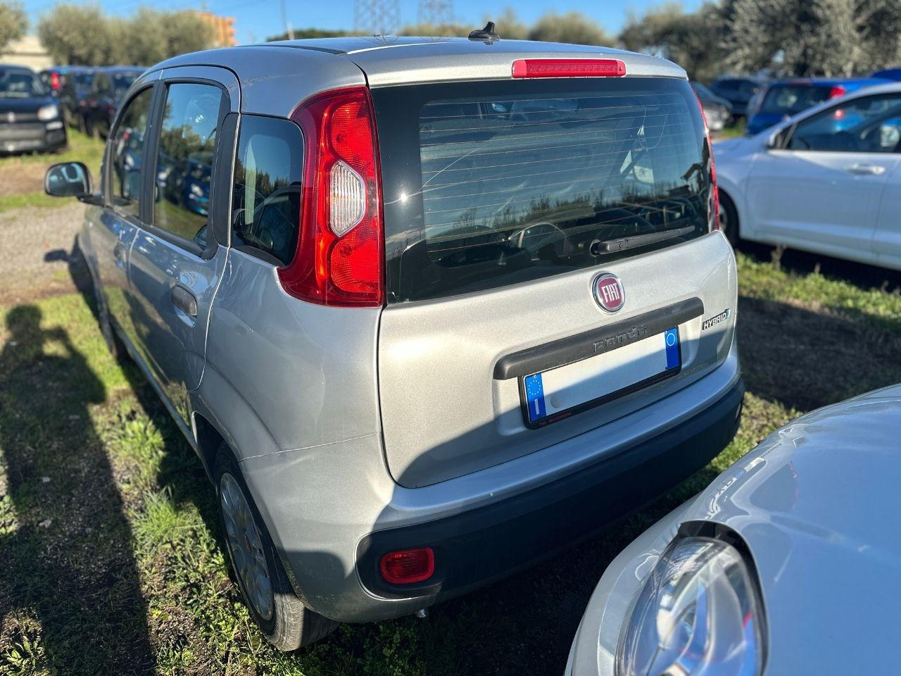 FIAT Panda 3ª serie - Panda 1.0 FireFly S&S Hybrid Panda