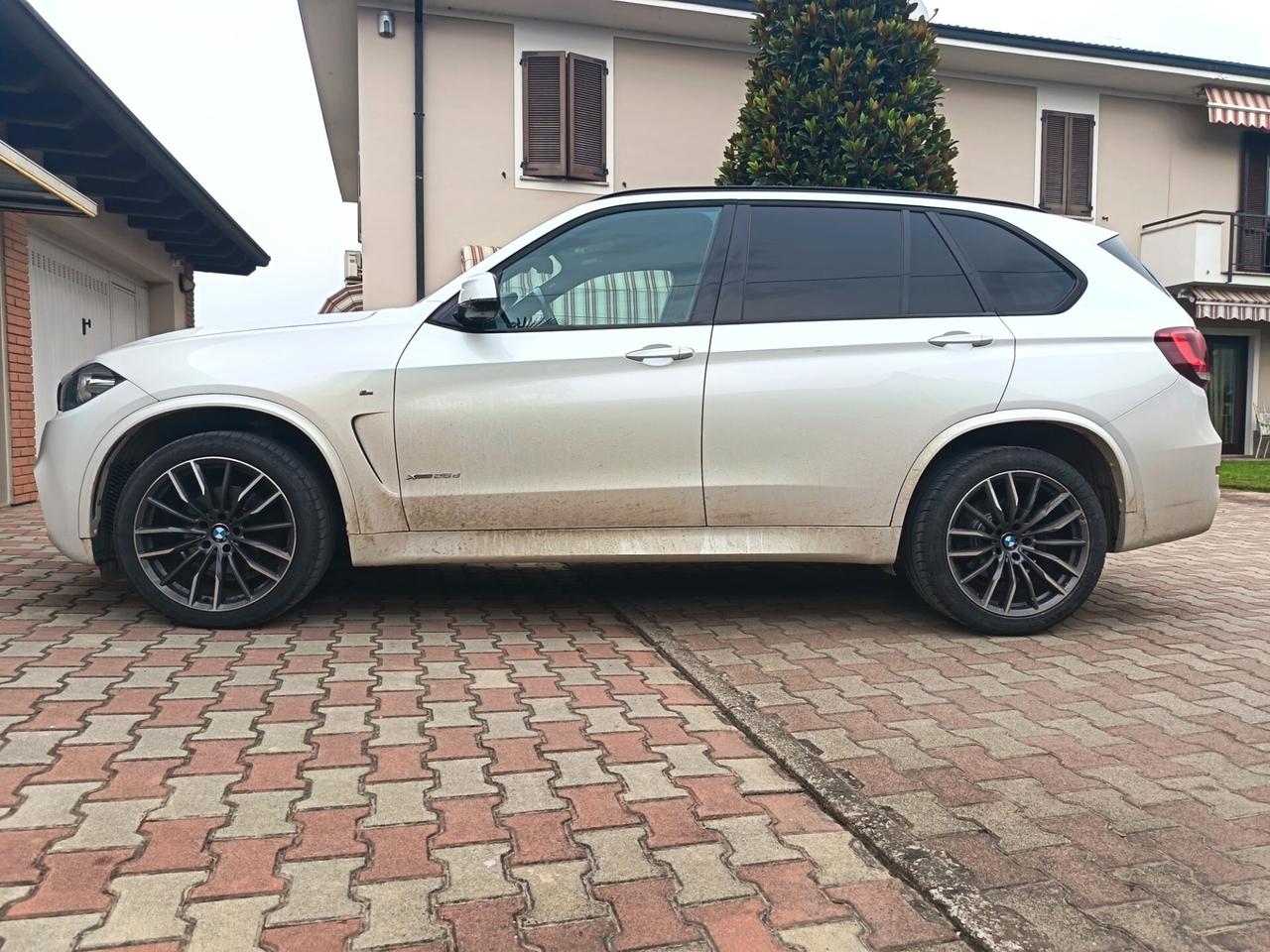 Bmw X5 sDrive25d Business