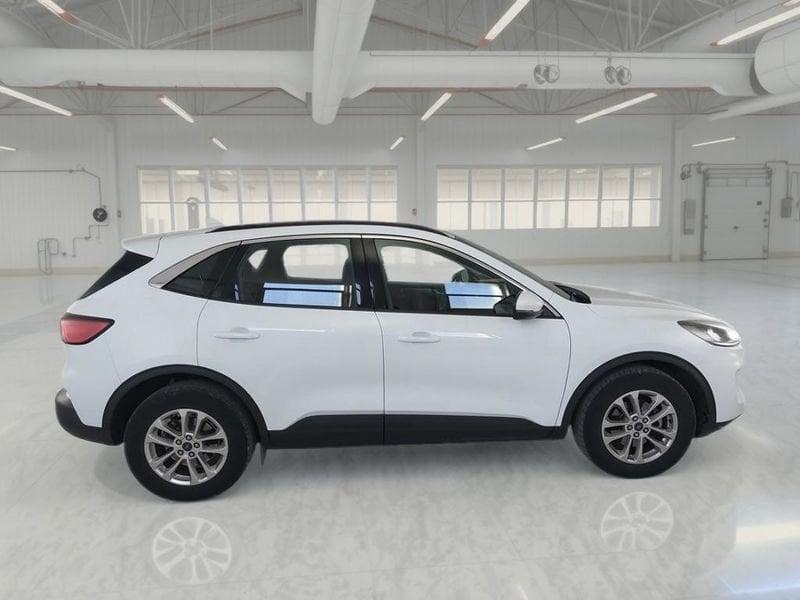 Ford Kuga Kuga 1.5 EcoBlue 120 CV aut. 2WD Titanium Business