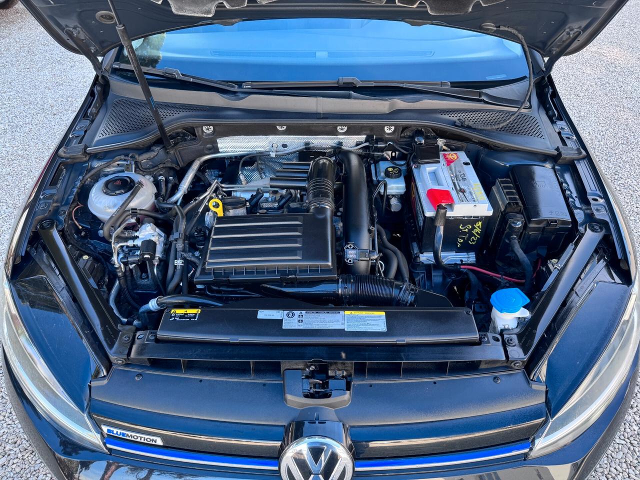 VW Golf 1.4 TGI 5p. Highline BMT