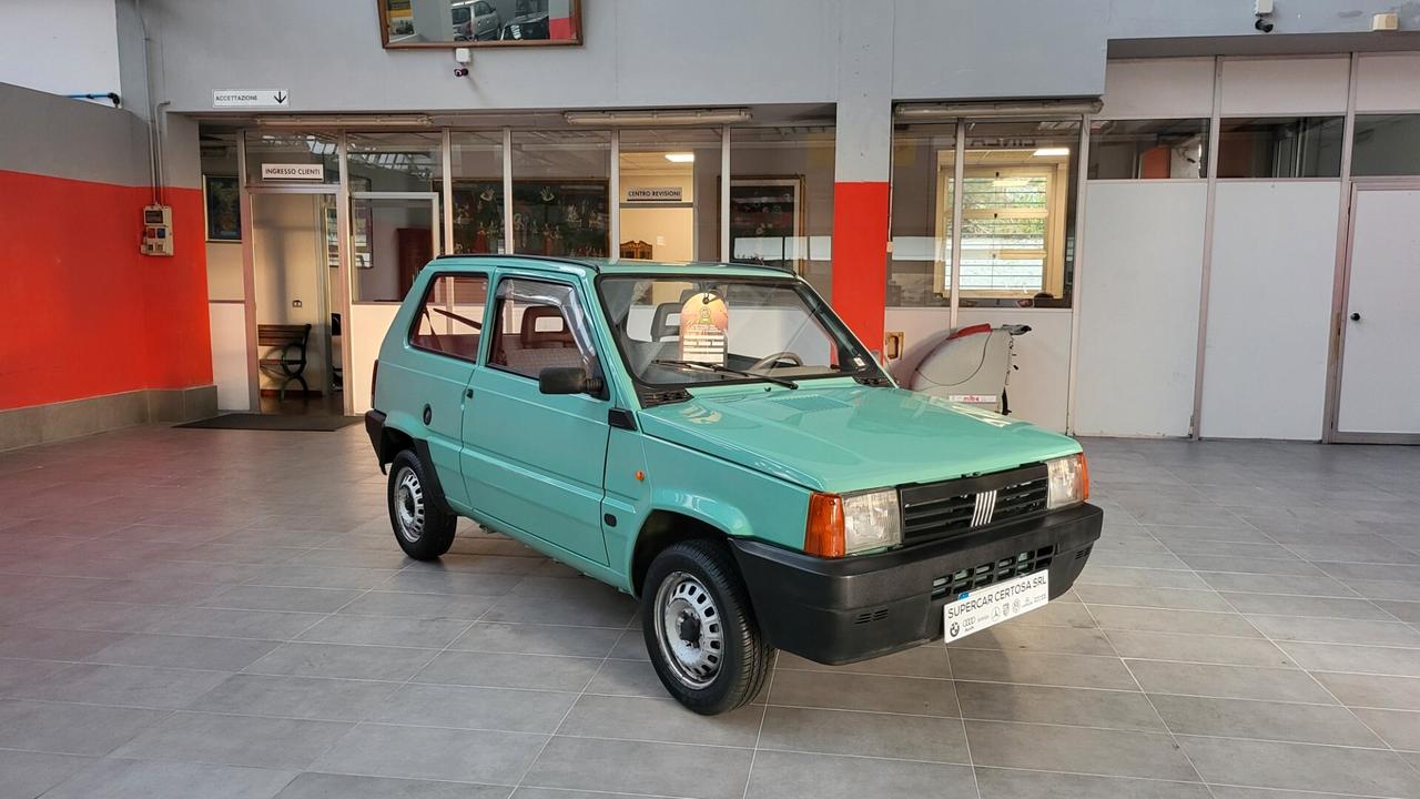 Fiat Panda 900 i.e. cat Young