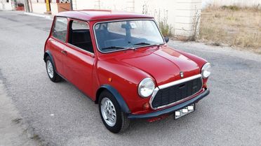 Mini 1000 HLE 1.0cc